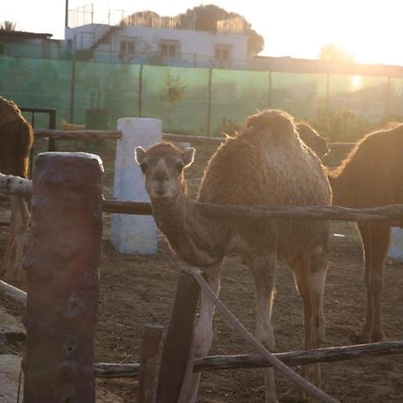 منزل الضيف Tétouan  في La Granja المظهر الخارجي الصورة