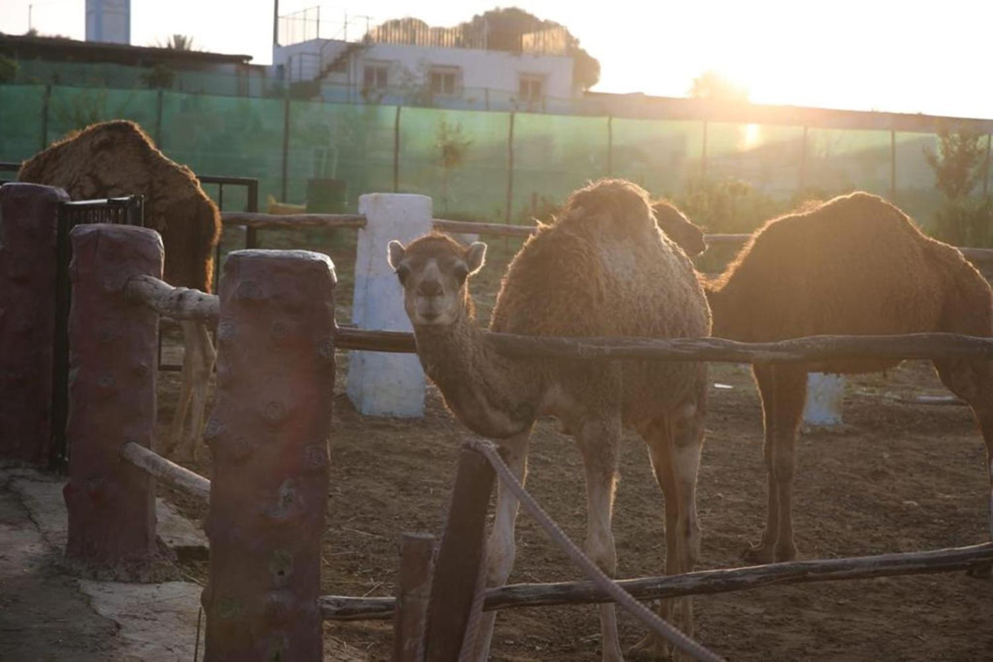 منزل الضيف Tétouan  في La Granja المظهر الخارجي الصورة