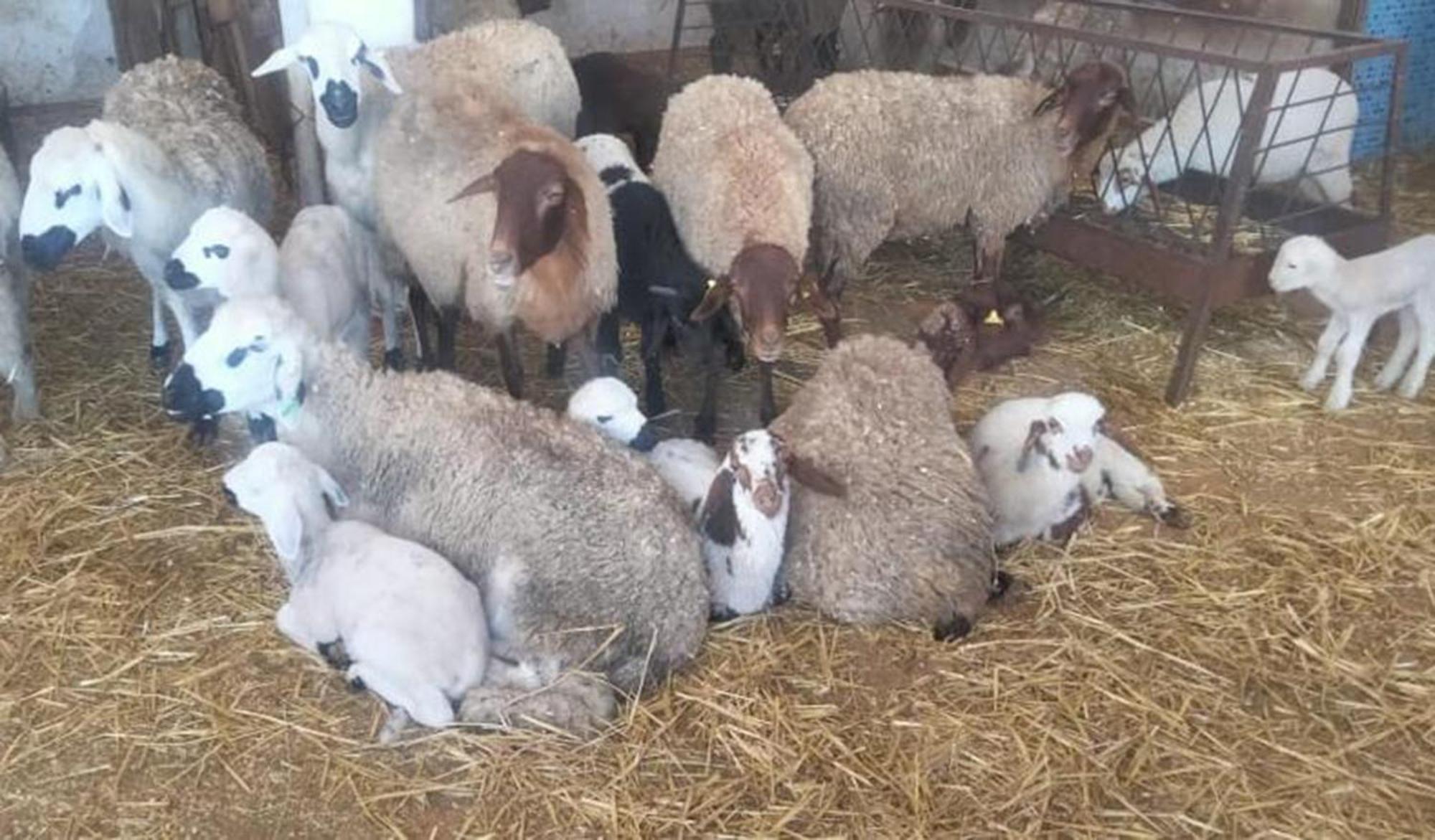 منزل الضيف Tétouan  في La Granja المظهر الخارجي الصورة